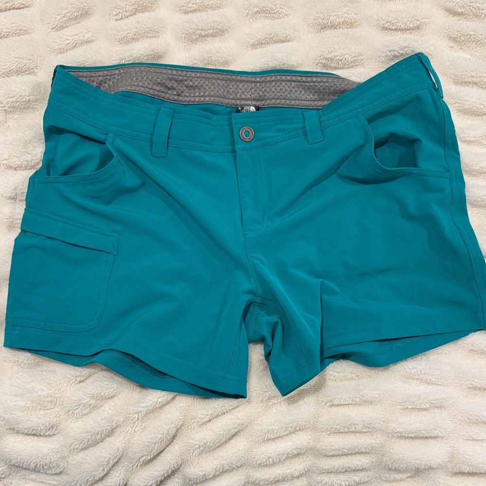 The North Face Teal Cargo Board Shorts